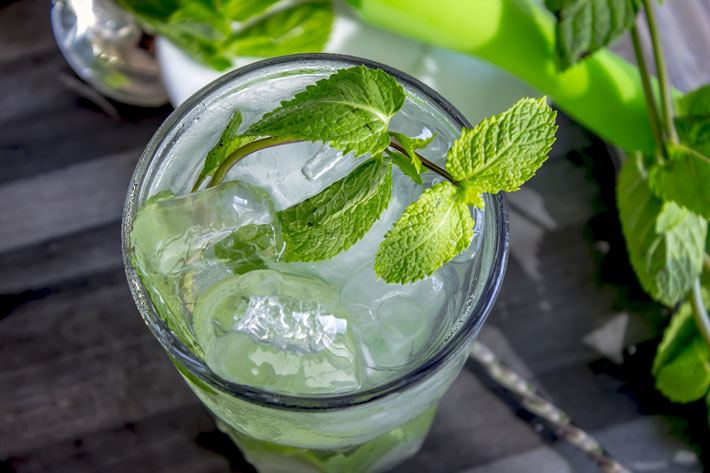 MOJITO